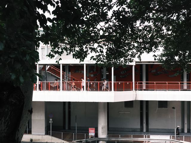 A tree and red railings in the courtyard of a white housing estate.