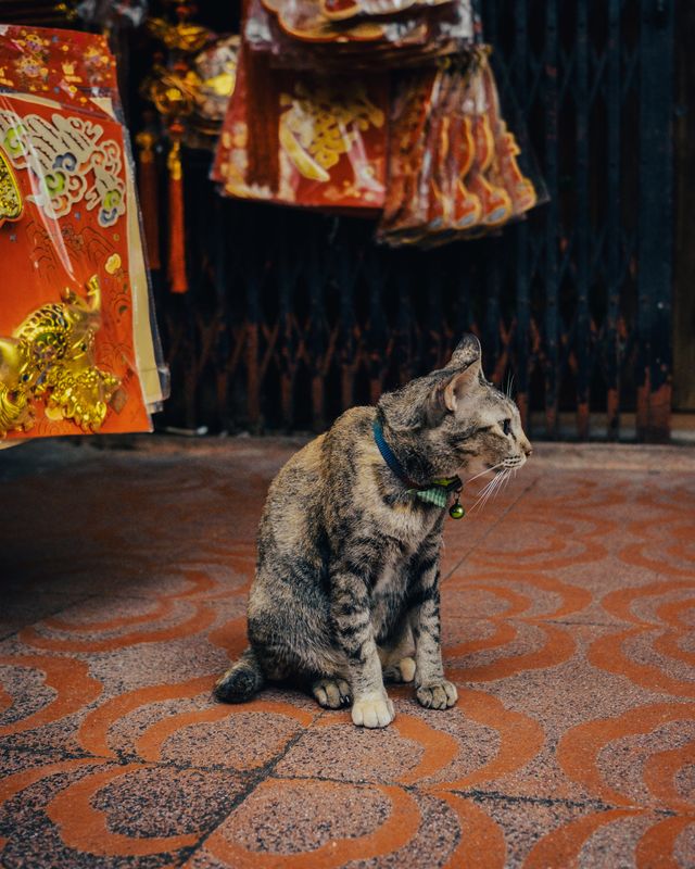 Photograph from the HarryPixel archive, frame 063.
