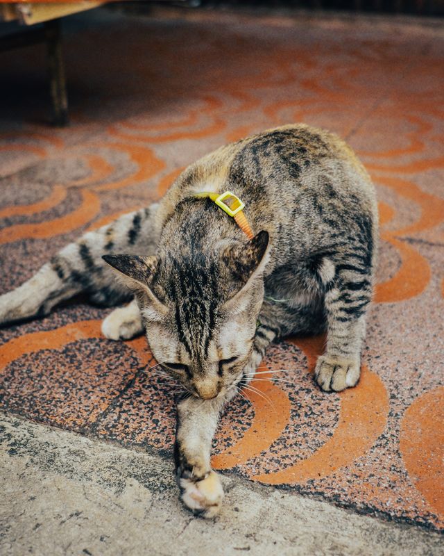 Photograph from the HarryPixel archive, frame 066.