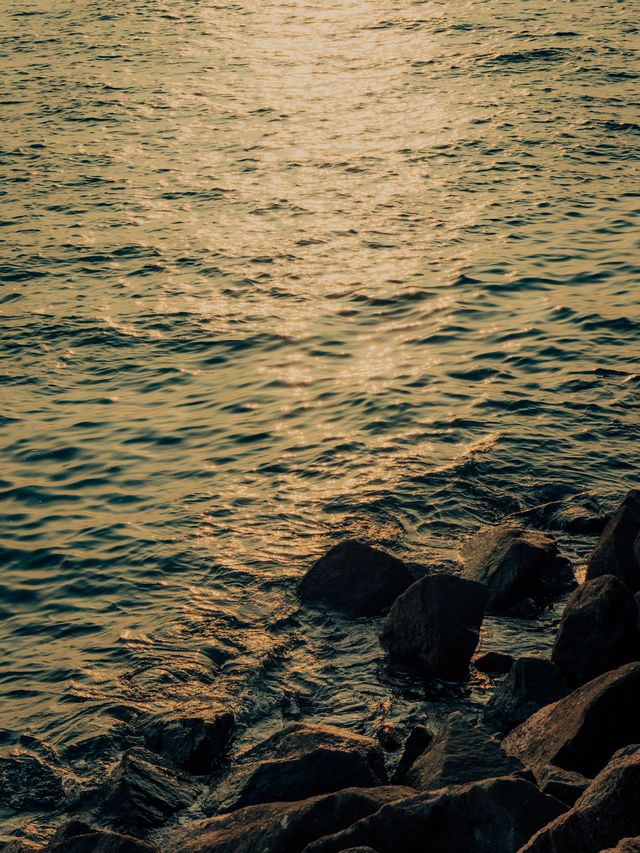 Photograph from the HarryPixel archive, frame 180.