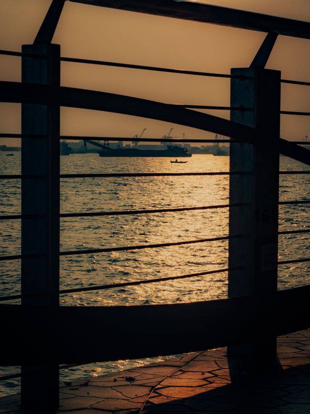 Photograph from the HarryPixel archive, frame 181.