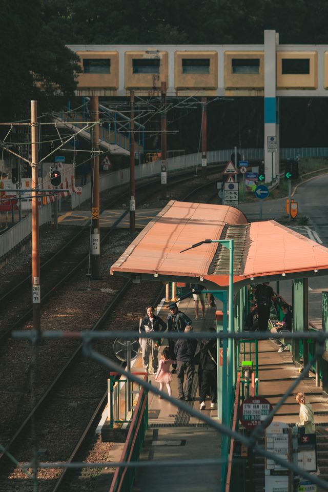Photograph from the HarryPixel archive, frame 190.