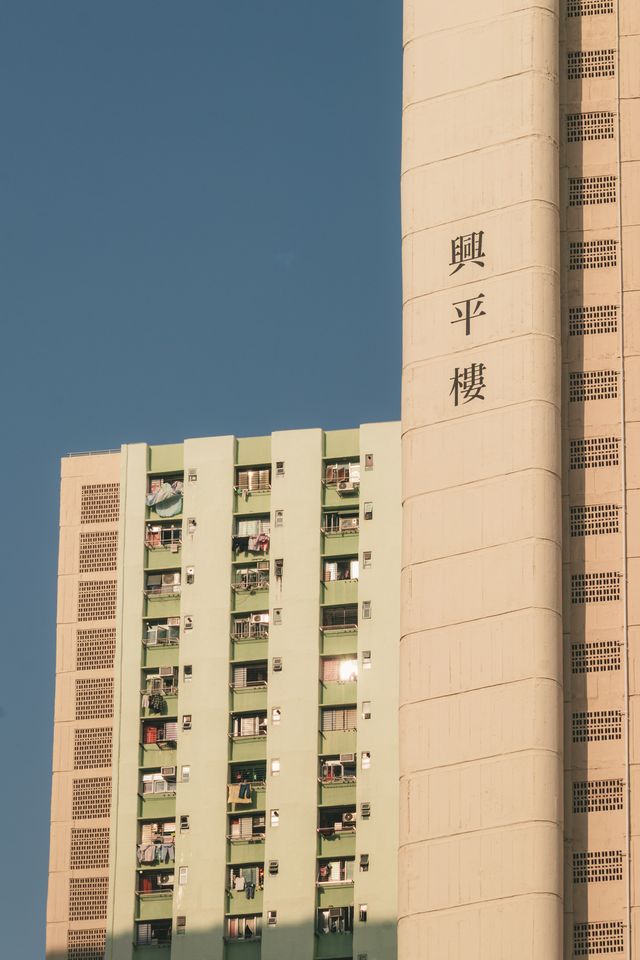 Photograph from the HarryPixel archive, frame 193.