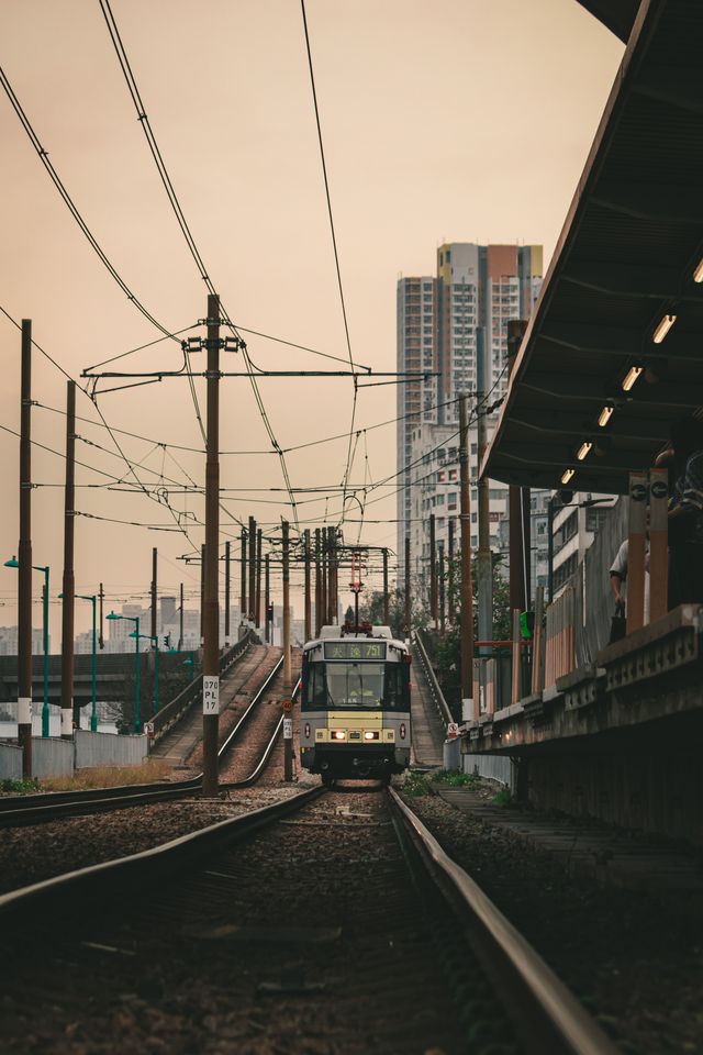 Photograph from the HarryPixel archive, frame 197.