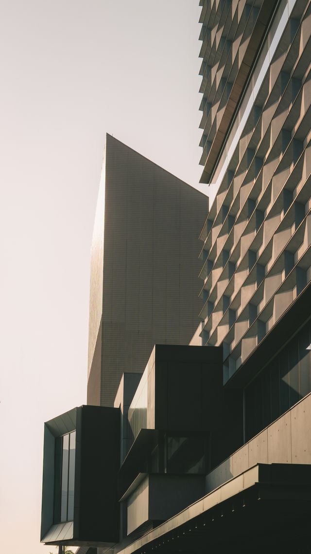 Photograph from the HarryPixel archive, frame 214.