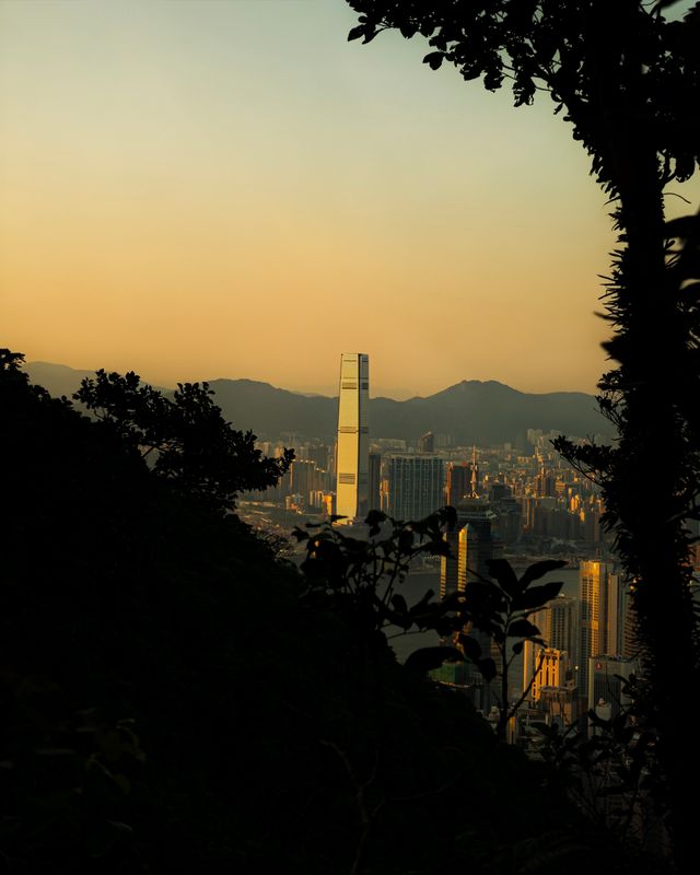 Photograph from the HarryPixel archive, frame 231.