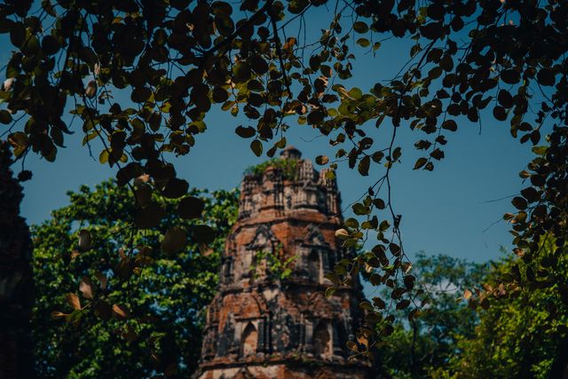 Ruined temple walls and trees in the old city of Ayutthaya.