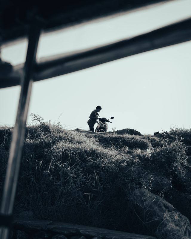 Photograph from the HarryPixel archive, frame 252.
