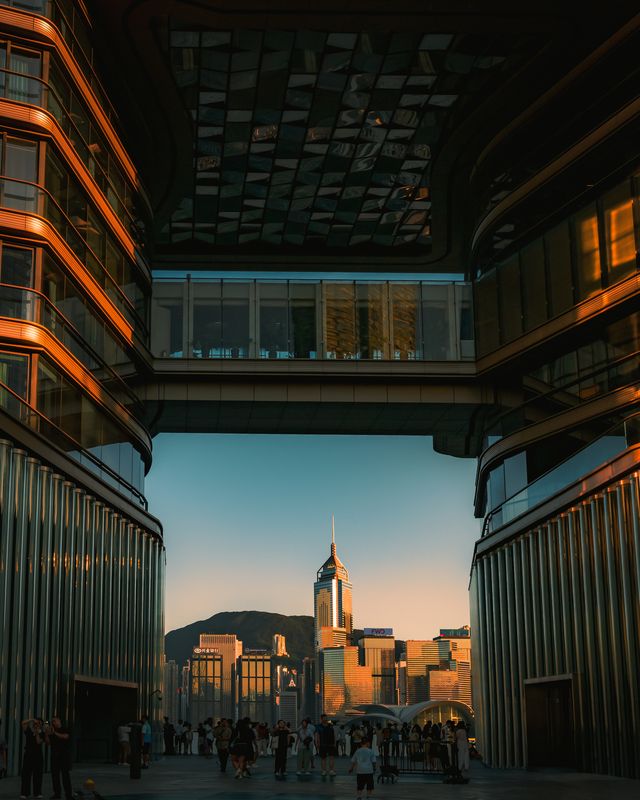 Photograph from the HarryPixel archive, frame 295.