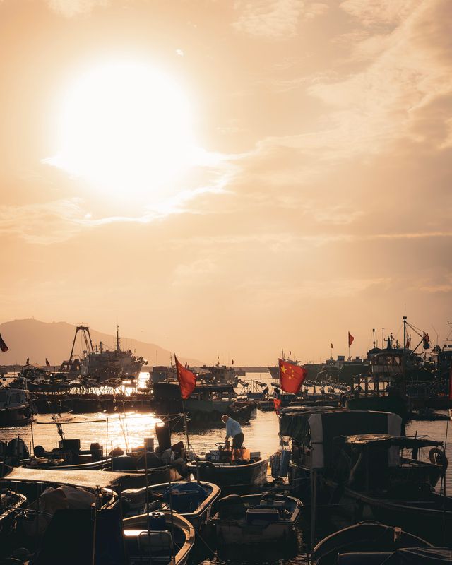Boats resting on calm water at sunset.