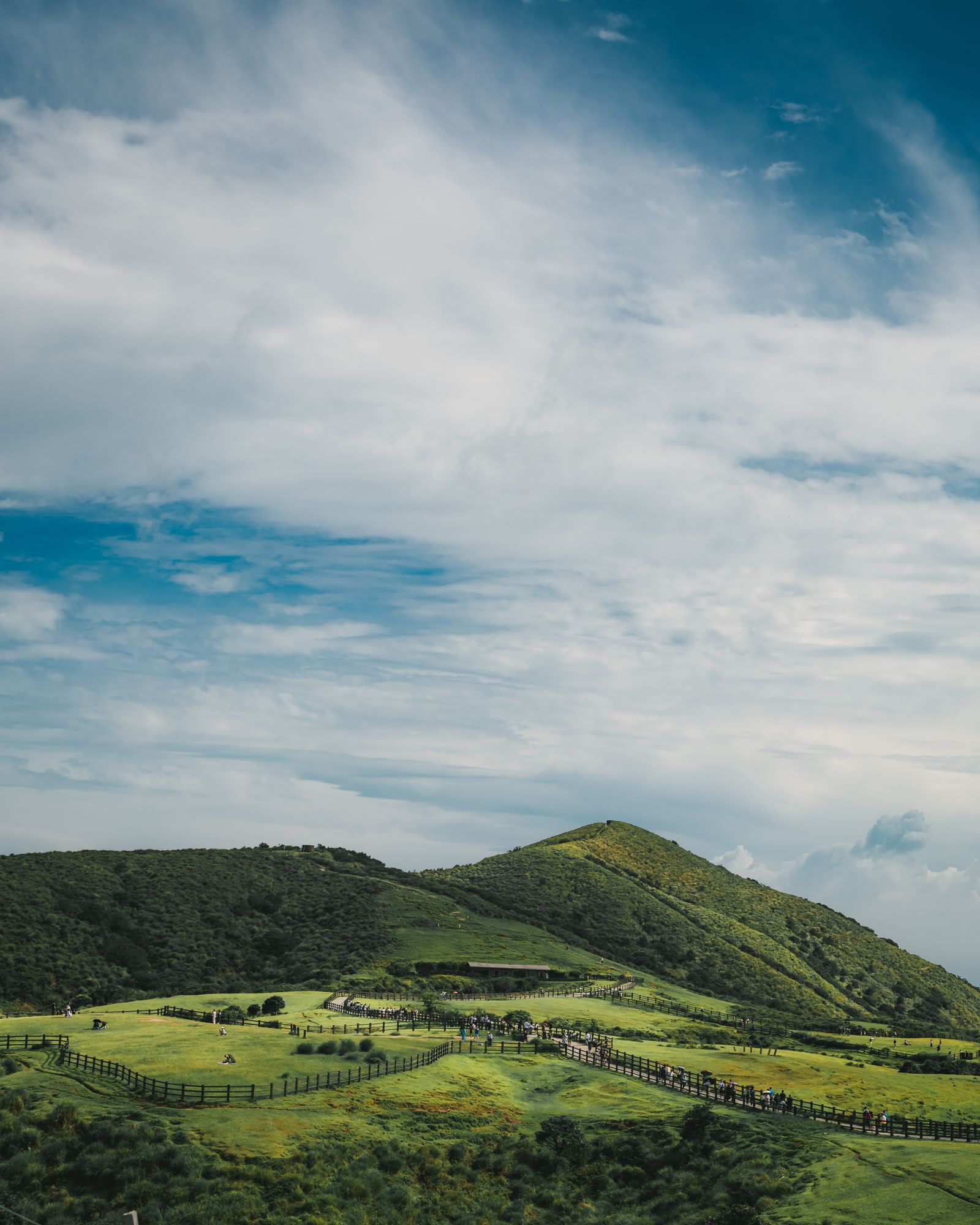 Green hills and trees in the Chiang Mai countryside.