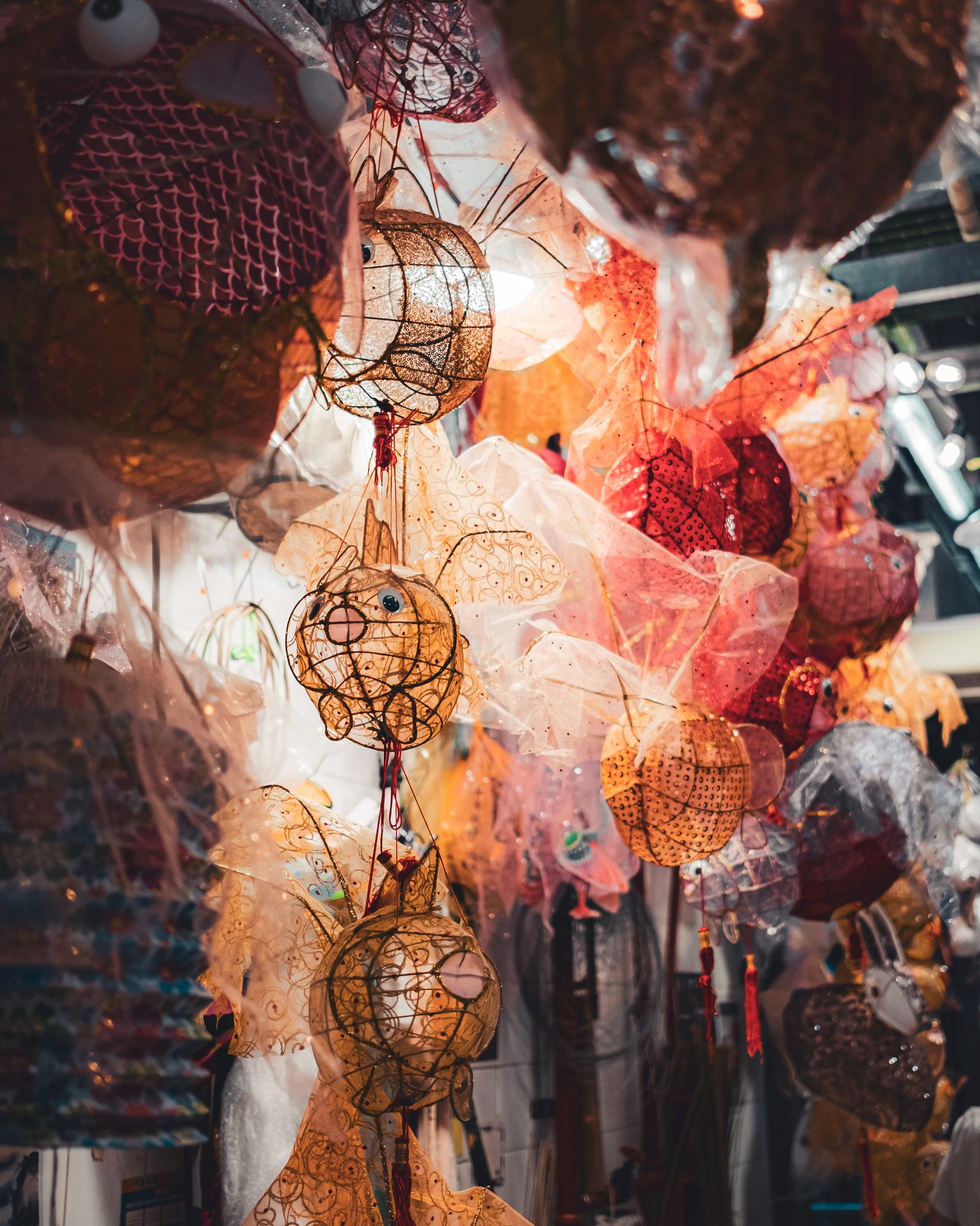 Paper lanterns lit from within at a night festival.